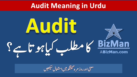 Audit Meaning in Urdu